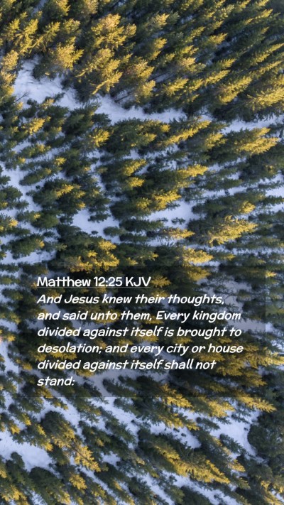 Picture 02 - Matthew 12:25 KJV Mobile Phone Wallpaper - And Jesus knew their thoughts, and said unto - Mobile Bible Verse Wallpaper