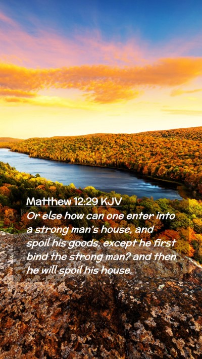 Picture 02 - Matthew 12:29 KJV Mobile Phone Wallpaper - Or else how can one enter into a strong man's - Mobile Bible Verse Wallpaper