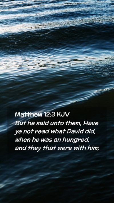 Picture 02 - Matthew 12:3 KJV Mobile Phone Wallpaper - But he said unto them, Have ye not read what - Mobile Bible Verse Wallpaper