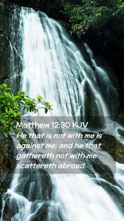 Picture 02 - Matthew 12:30 KJV Mobile Phone Wallpaper - He that is not with me is against me; and he that - Mobile Bible Verse Wallpaper