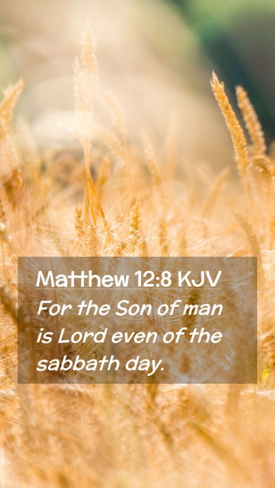 Picture 02 - Matthew 12:8 KJV Mobile Phone Wallpaper - For the Son of man is Lord even of the sabbath - Mobile Bible Verse Wallpaper