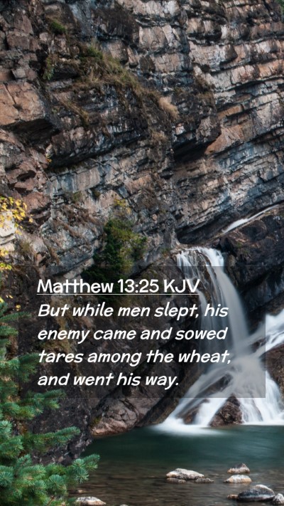 Picture 02 - Matthew 13:25 KJV Mobile Phone Wallpaper - But while men slept, his enemy came and sowed - Mobile Bible Verse Wallpaper