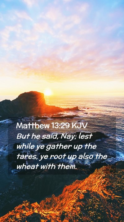 Picture 02 - Matthew 13:29 KJV Mobile Phone Wallpaper - But he said, Nay; lest while ye gather up the - Mobile Bible Verse Wallpaper