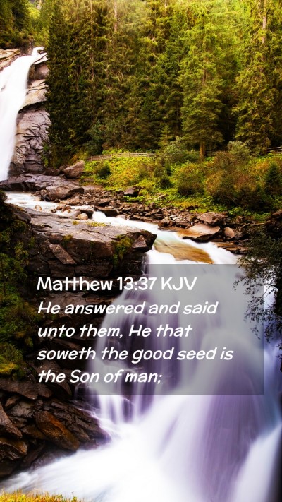 Picture 02 - Matthew 13:37 KJV Mobile Phone Wallpaper - He answered and said unto them, He that soweth - Mobile Bible Verse Wallpaper