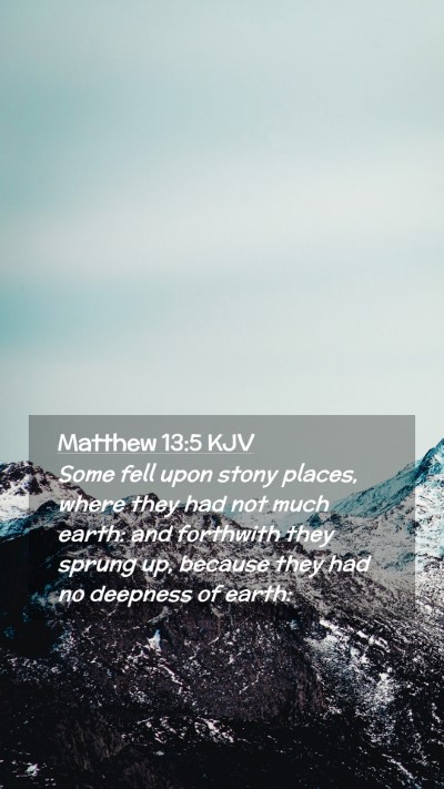Picture 02 - Matthew 13:5 KJV Mobile Phone Wallpaper - Some fell upon stony places, where they had not - Mobile Bible Verse Wallpaper
