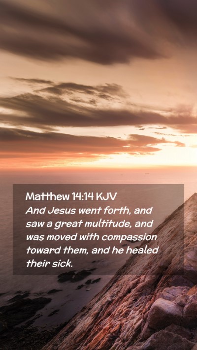 Picture 02 - Matthew 14:14 KJV Mobile Phone Wallpaper - And Jesus went forth, and saw a great multitude, - Mobile Bible Verse Wallpaper