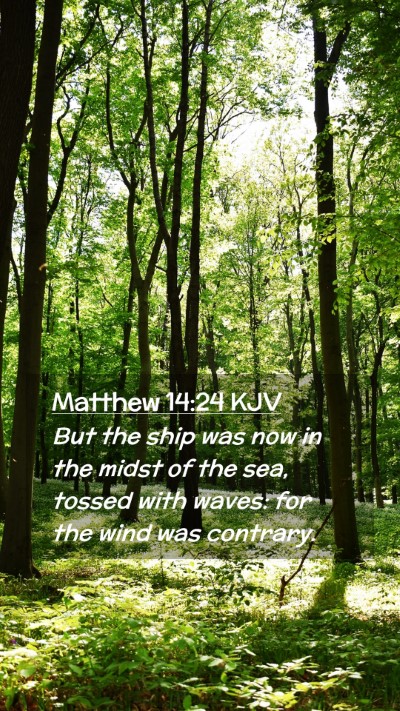 Picture 02 - Matthew 14:24 KJV Mobile Phone Wallpaper - But the ship was now in the midst of the sea, - Mobile Bible Verse Wallpaper