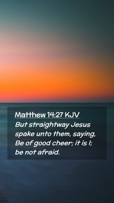 Picture 02 - Matthew 14:27 KJV Mobile Phone Wallpaper - But straightway Jesus spake unto them, saying, Be - Mobile Bible Verse Wallpaper