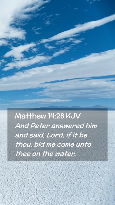 Picture 02 - Matthew 14:28 KJV Mobile Phone Wallpaper - And Peter answered him and said, Lord, if it be - Mobile Bible Verse Wallpaper