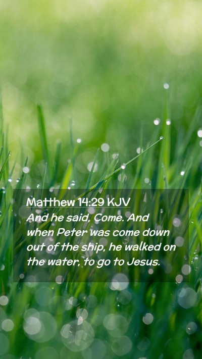 Picture 02 - Matthew 14:29 KJV Mobile Phone Wallpaper - And he said, Come. And when Peter was come down - Mobile Bible Verse Wallpaper