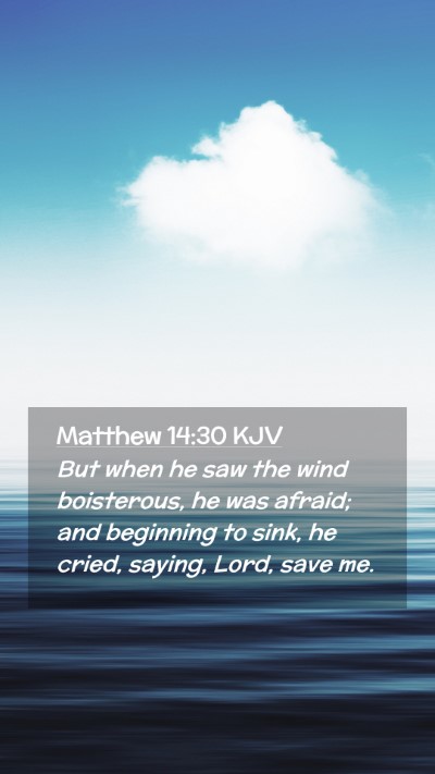 Picture 02 - Matthew 14:30 KJV Mobile Phone Wallpaper - But when he saw the wind boisterous, he was - Mobile Bible Verse Wallpaper