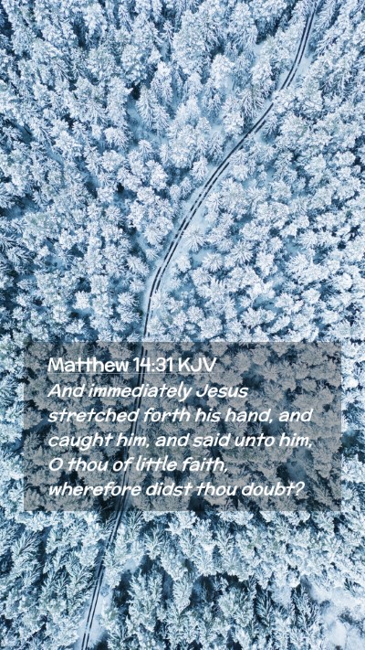 Picture 02 - Matthew 14:31 KJV Mobile Phone Wallpaper - And immediately Jesus stretched forth his hand, - Mobile Bible Verse Wallpaper