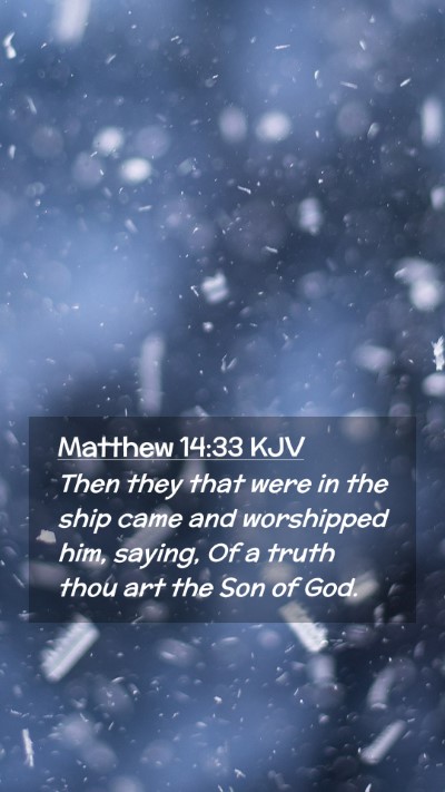Picture 02 - Matthew 14:33 KJV Mobile Phone Wallpaper - Then they that were in the ship came and - Mobile Bible Verse Wallpaper