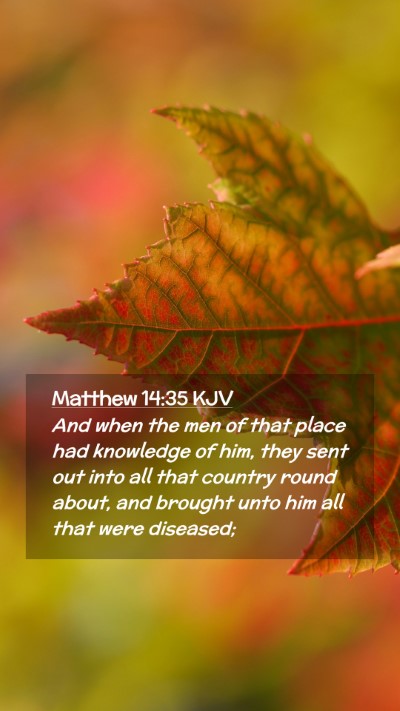 Picture 02 - Matthew 14:35 KJV Mobile Phone Wallpaper - And when the men of that place had knowledge of - Mobile Bible Verse Wallpaper