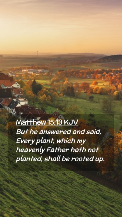 Picture 02 - Matthew 15:13 KJV Mobile Phone Wallpaper - But he answered and said, Every plant, which my - Mobile Bible Verse Wallpaper