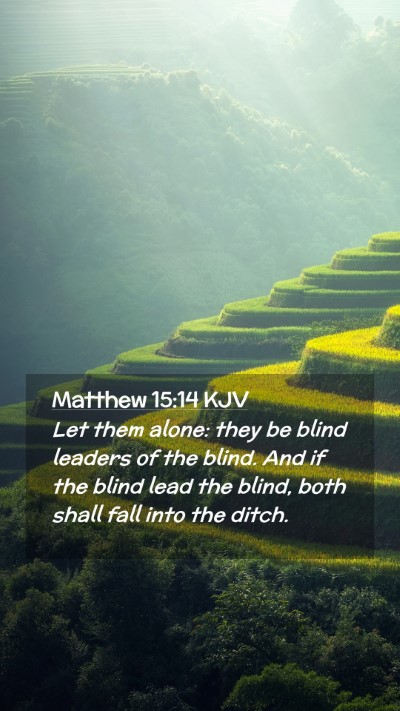 Picture 02 - Matthew 15:14 KJV Mobile Phone Wallpaper - Let them alone: they be blind leaders of the - Mobile Bible Verse Wallpaper
