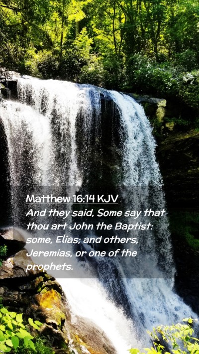 Picture 02 - Matthew 16:14 KJV Mobile Phone Wallpaper - And they said, Some say that thou art John the - Mobile Bible Verse Wallpaper