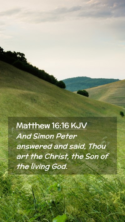 Picture 02 - Matthew 16:16 KJV Mobile Phone Wallpaper - And Simon Peter answered and said, Thou art the - Mobile Bible Verse Wallpaper