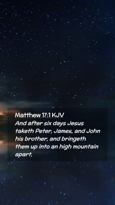 Picture 02 - Matthew 17:1 KJV Mobile Phone Wallpaper - And after six days Jesus taketh Peter, James, and - Mobile Bible Verse Wallpaper