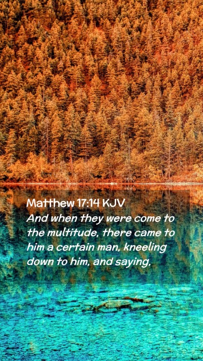 Picture 02 - Matthew 17:14 KJV Mobile Phone Wallpaper - And when they were come to the multitude, there - Mobile Bible Verse Wallpaper