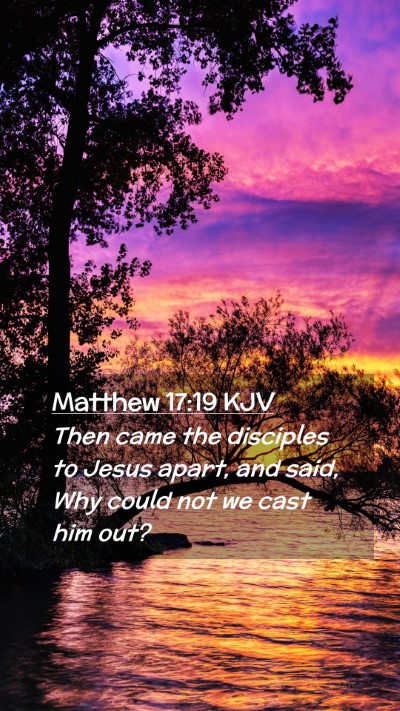 Picture 02 - Matthew 17:19 KJV Mobile Phone Wallpaper - Then came the disciples to Jesus apart, and said, - Mobile Bible Verse Wallpaper