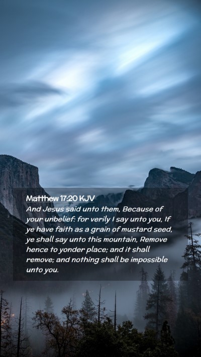 Picture 02 - Matthew 17:20 KJV Mobile Phone Wallpaper - And Jesus said unto them, Because of your - Mobile Bible Verse Wallpaper