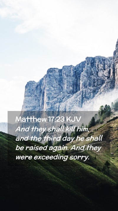 Picture 02 - Matthew 17:23 KJV Mobile Phone Wallpaper - And they shall kill him, and the third day he - Mobile Bible Verse Wallpaper