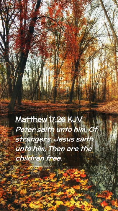 Picture 02 - Matthew 17:26 KJV Mobile Phone Wallpaper - Peter saith unto him, Of strangers. Jesus saith - Mobile Bible Verse Wallpaper