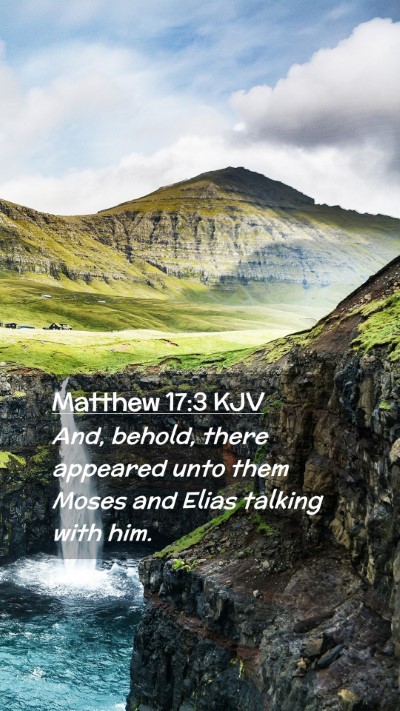 Picture 02 - Matthew 17:3 KJV Mobile Phone Wallpaper - And, behold, there appeared unto them Moses and - Mobile Bible Verse Wallpaper