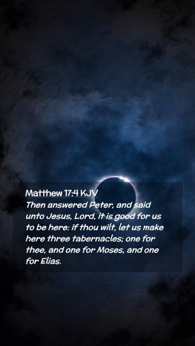 Picture 02 - Matthew 17:4 KJV Mobile Phone Wallpaper - Then answered Peter, and said unto Jesus, Lord, - Mobile Bible Verse Wallpaper