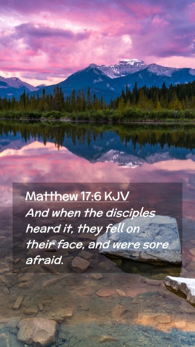 Picture 02 - Matthew 17:6 KJV Mobile Phone Wallpaper - And when the disciples heard it, they fell on - Mobile Bible Verse Wallpaper