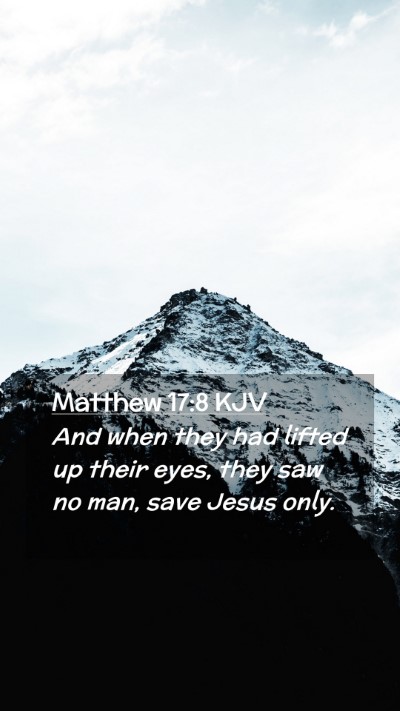 Picture 02 - Matthew 17:8 KJV Mobile Phone Wallpaper - And when they had lifted up their eyes, they saw - Mobile Bible Verse Wallpaper