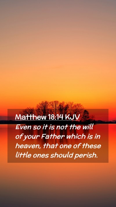 Picture 02 - Matthew 18:14 KJV Mobile Phone Wallpaper - Even so it is not the will of your Father which - Mobile Bible Verse Wallpaper