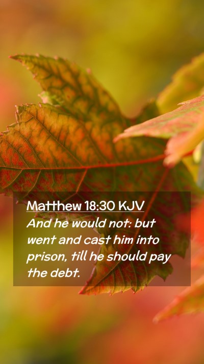 Picture 02 - Matthew 18:30 KJV Mobile Phone Wallpaper - And he would not: but went and cast him into - Mobile Bible Verse Wallpaper
