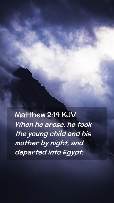 Picture 02 - Matthew 2:14 KJV Mobile Phone Wallpaper - When he arose, he took the young child and his - Mobile Bible Verse Wallpaper