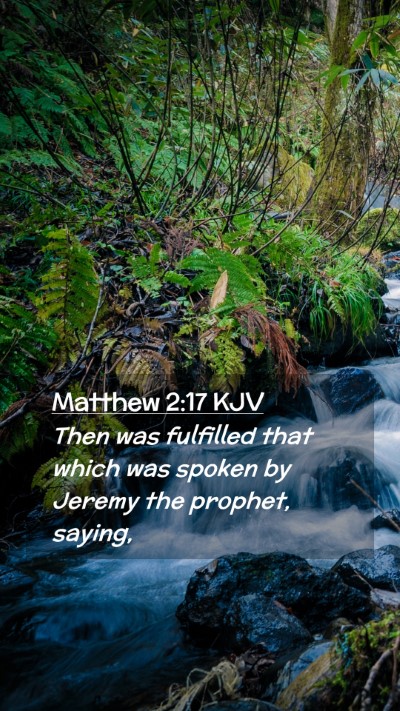 Picture 02 - Matthew 2:17 KJV Mobile Phone Wallpaper - Then was fulfilled that which was spoken by - Mobile Bible Verse Wallpaper