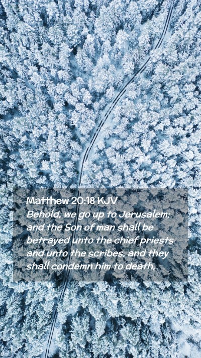 Picture 02 - Matthew 20:18 KJV Mobile Phone Wallpaper - Behold, we go up to Jerusalem; and the Son of man - Mobile Bible Verse Wallpaper