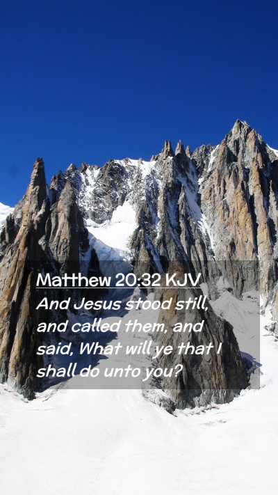 Picture 02 - Matthew 20:32 KJV Mobile Phone Wallpaper - And Jesus stood still, and called them, and said, - Mobile Bible Verse Wallpaper