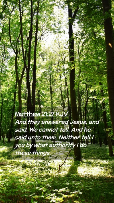 Picture 02 - Matthew 21:27 KJV Mobile Phone Wallpaper - And they answered Jesus, and said, We cannot - Mobile Bible Verse Wallpaper