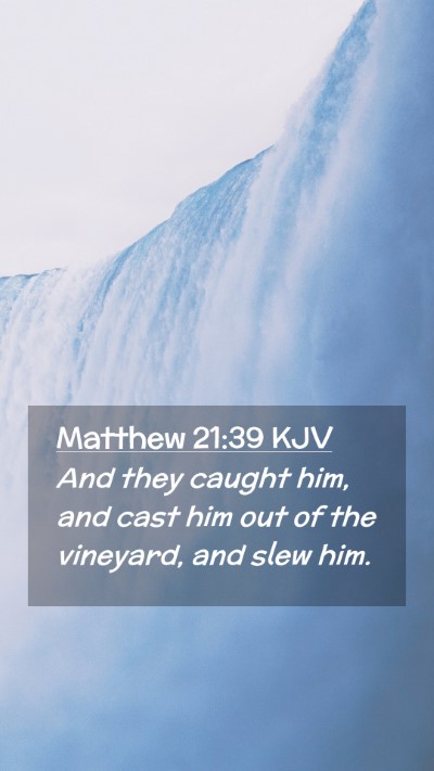 Picture 02 - Matthew 21:39 KJV Mobile Phone Wallpaper - And they caught him, and cast him out of the - Mobile Bible Verse Wallpaper