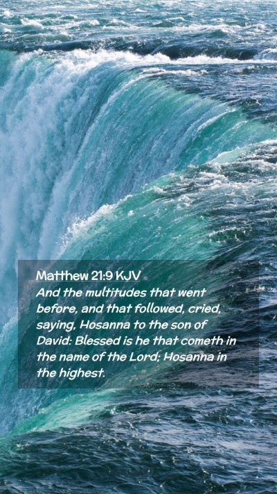 Picture 02 - Matthew 21:9 KJV Mobile Phone Wallpaper - And the multitudes that went before, and that - Mobile Bible Verse Wallpaper