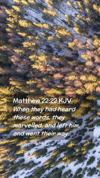 Picture 02 - Matthew 22:22 KJV Mobile Phone Wallpaper - When they had heard these words, they marvelled, - Mobile Bible Verse Wallpaper