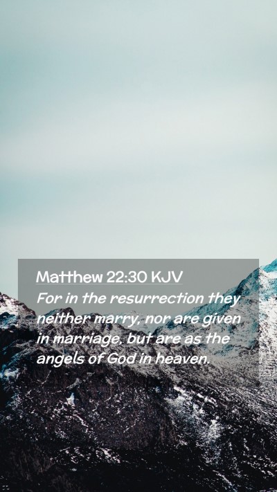 Picture 02 - Matthew 22:30 KJV Mobile Phone Wallpaper - For in the resurrection they neither marry, nor - Mobile Bible Verse Wallpaper