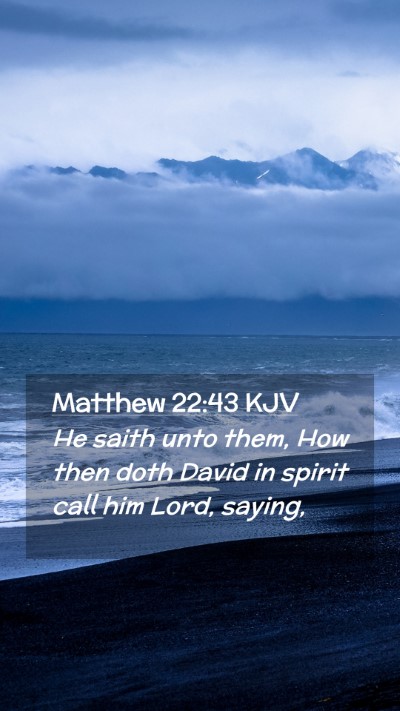 Picture 02 - Matthew 22:43 KJV Mobile Phone Wallpaper - He saith unto them, How then doth David in spirit - Mobile Bible Verse Wallpaper