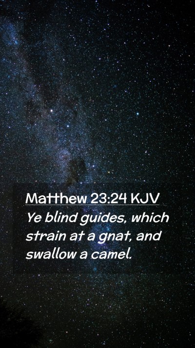 Picture 02 - Matthew 23:24 KJV Mobile Phone Wallpaper - Ye blind guides, which strain at a gnat, and - Mobile Bible Verse Wallpaper