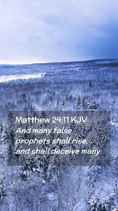 Picture 02 - Matthew 24:11 KJV Mobile Phone Wallpaper - And many false prophets shall rise, and shall - Mobile Bible Verse Wallpaper