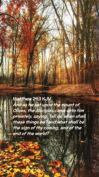 Picture 02 - Matthew 24:3 KJV Mobile Phone Wallpaper - And as he sat upon the mount of Olives, the - Mobile Bible Verse Wallpaper