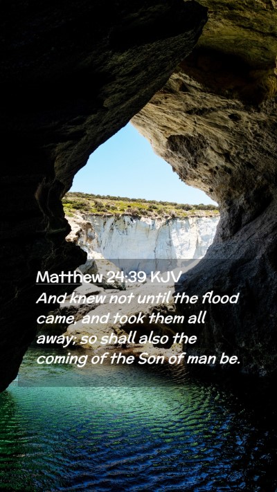 Picture 02 - Matthew 24:39 KJV Mobile Phone Wallpaper - And knew not until the flood came, and took them - Mobile Bible Verse Wallpaper