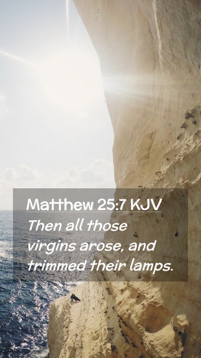 Picture 02 - Matthew 25:7 KJV Mobile Phone Wallpaper - Then all those virgins arose, and trimmed their - Mobile Bible Verse Wallpaper