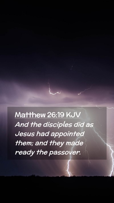 Picture 02 - Matthew 26:19 KJV Mobile Phone Wallpaper - And the disciples did as Jesus had appointed - Mobile Bible Verse Wallpaper